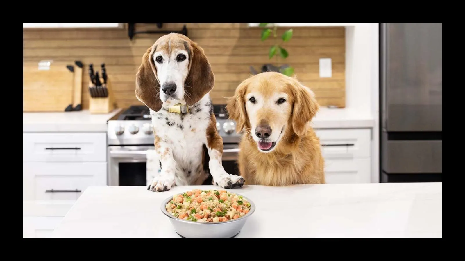 Badlands Ranch Dog Food
